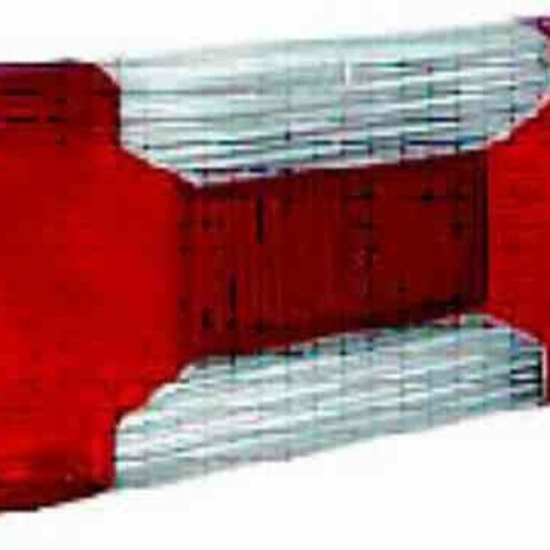 Tulipa de Piloto Trasero Derecho Iveco Daily año 2006 a 2011