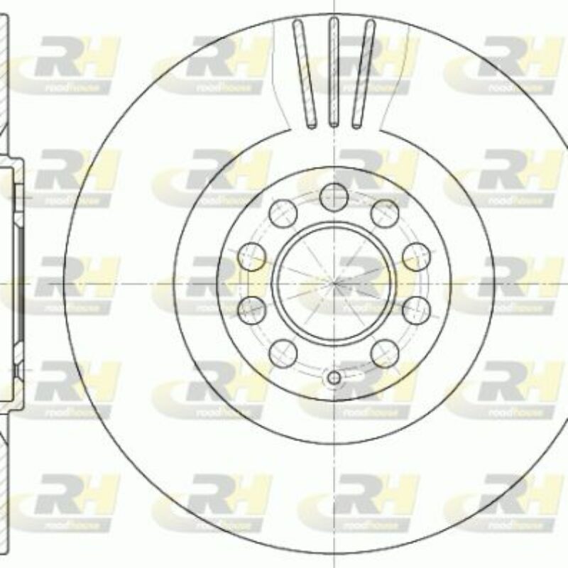 Discos de Freno Delanteros Seat Leon I (1M1) Año 1999 a 2006 Roadhouse 6597.10