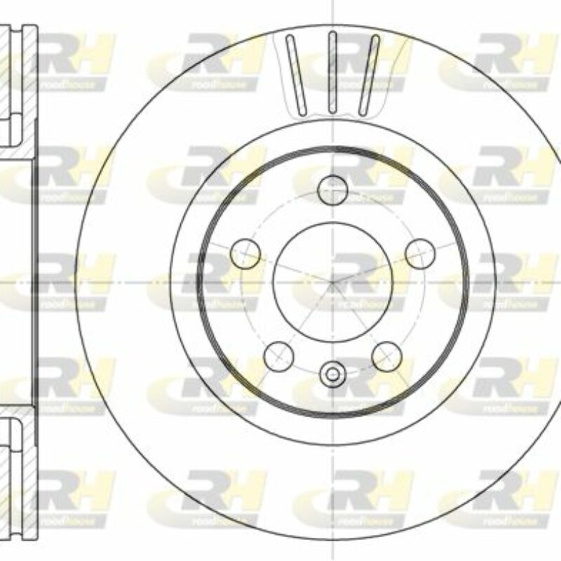 Discos de Freno Delanteros Seat Toledo II (1M2) Año 1998 a 2006 Roadhouse 6546.10